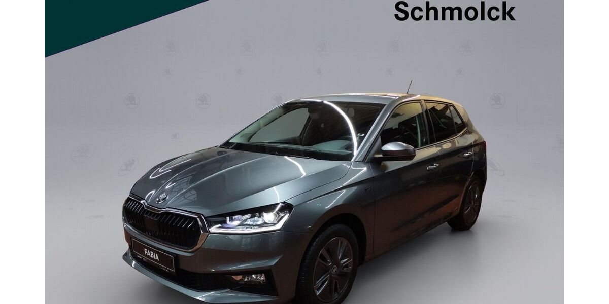 Skoda Fabia 9.000 km 17.890 &euro; Emmendingen 79312