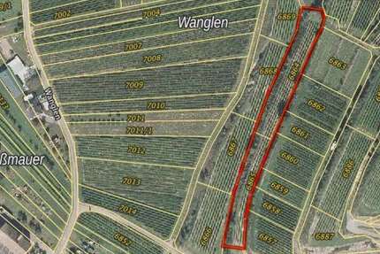 Grundstück Jechtingen Jechtingen - 8.000&euro; | Angebot:25542546