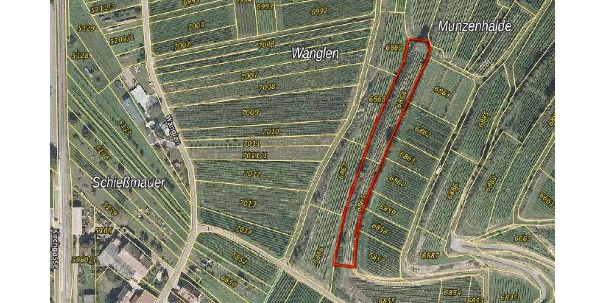 Grundstück Jechtingen Jechtingen - 8.000&euro; | Angebot:25542546