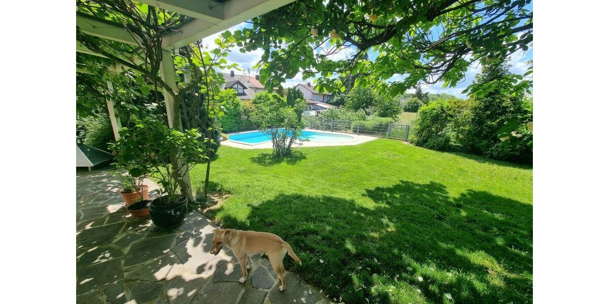 Provisionsfrei* Modernes Einfamilienhaus mit hochwertigem Anbau, Doppelgarage und Pool in Buggingen - Einfamilienhaus Buggingen Buggingen (Kernort) | Angebot:25967813