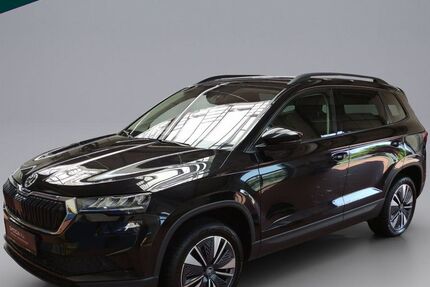 Skoda Karoq 99.900 km 25.790 &euro; Emmendingen 79312