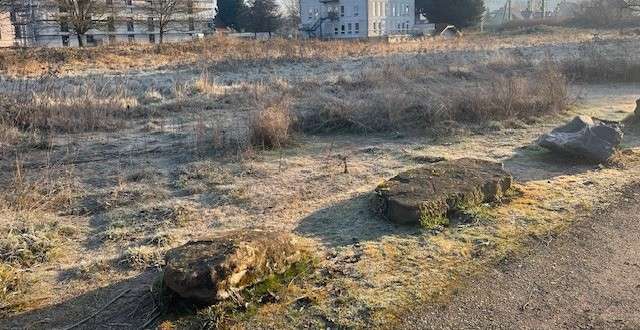 Grundstück in Herbolzheim 750.000 € 3800 m²