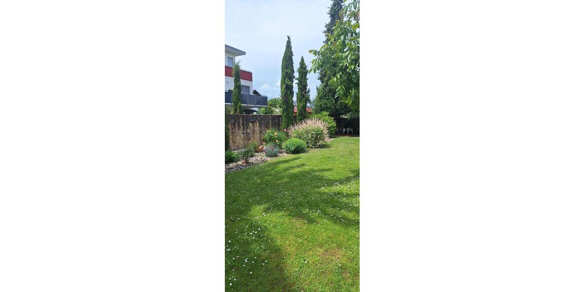 Einfamilienhaus Bad Krozingen - 8 Zimmer, 220 m&sup2;, 1.500.000&euro; | Angebot:26652449