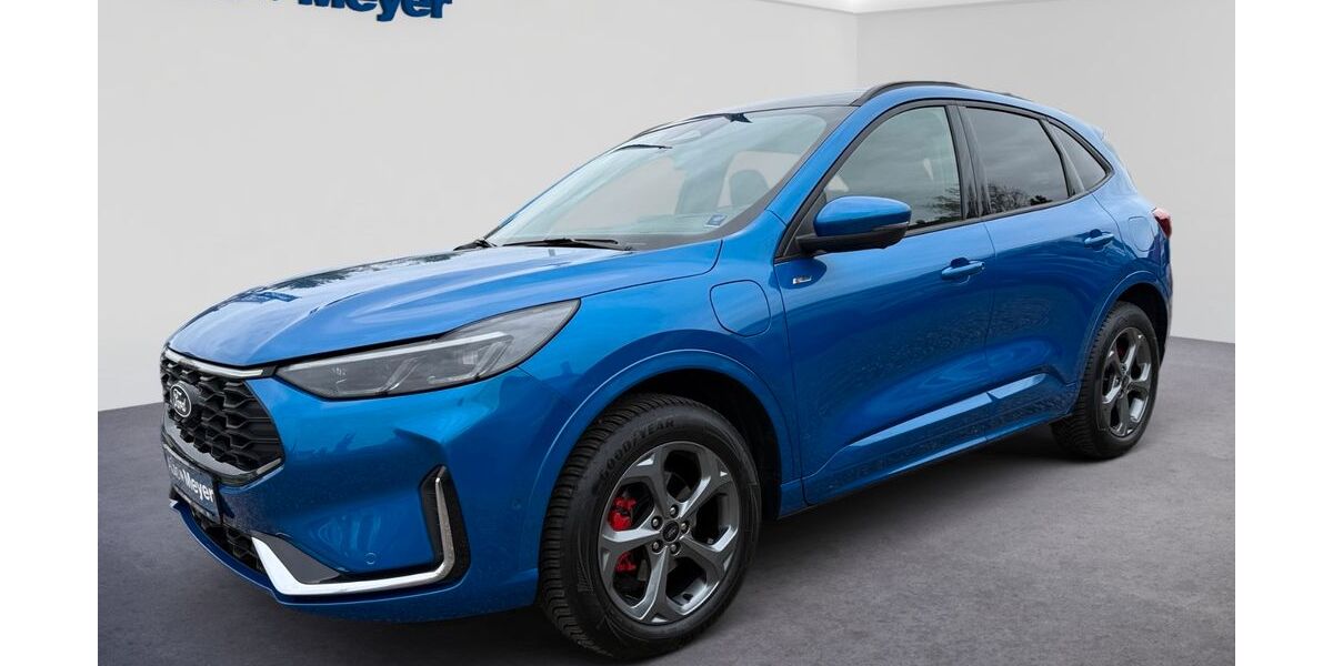 Ford Kuga 19.928 km 35.990 &euro; Endingen am Kaiserstuhl 79346