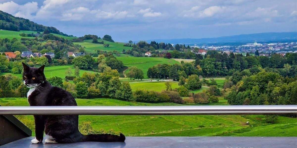 Grundstück Wittnau Biezighofen - 530.000&euro; | Angebot:24359128