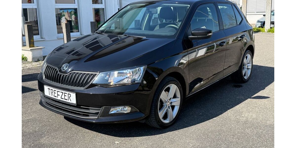 Skoda Fabia 67.200 km 8.500 &euro; Bad Krozingen 79189
