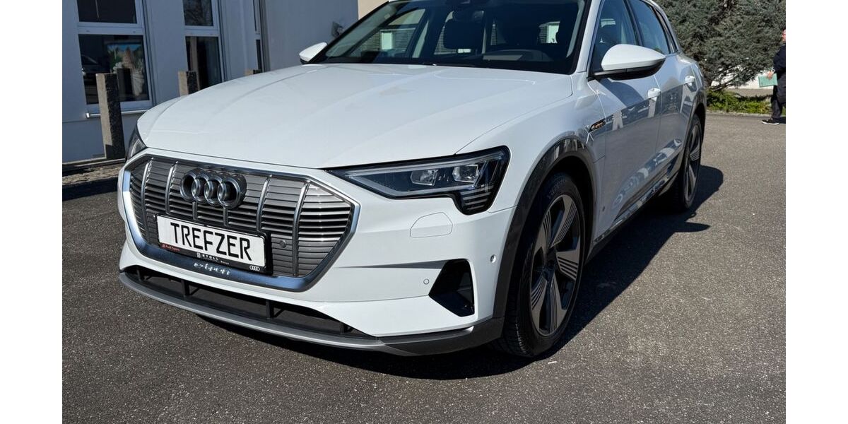 Audi e-tron 72.500 km 29.900 &euro; Bad Krozingen 79189