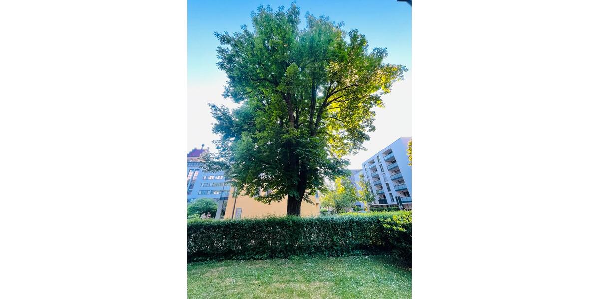 Erdgeschoßwohnung Freiburg im Breisgau Herdern - 2 Zimmer, 60 m&sup2;, 430.000&euro; | Angebot:26715920