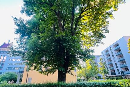 Wohnung Freiburg im Breisgau Herdern - 2 Zimmer, 60 m&sup2;, 430.000&euro; | Angebot:26715920
