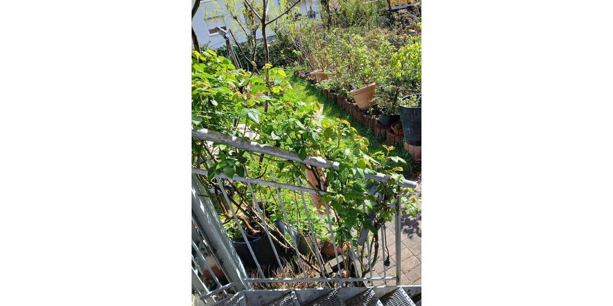 Etagenwohnung Freiburg Wiehre - 3 Zimmer, 88 m&sup2;, 695.000&euro; | Angebot:25957450