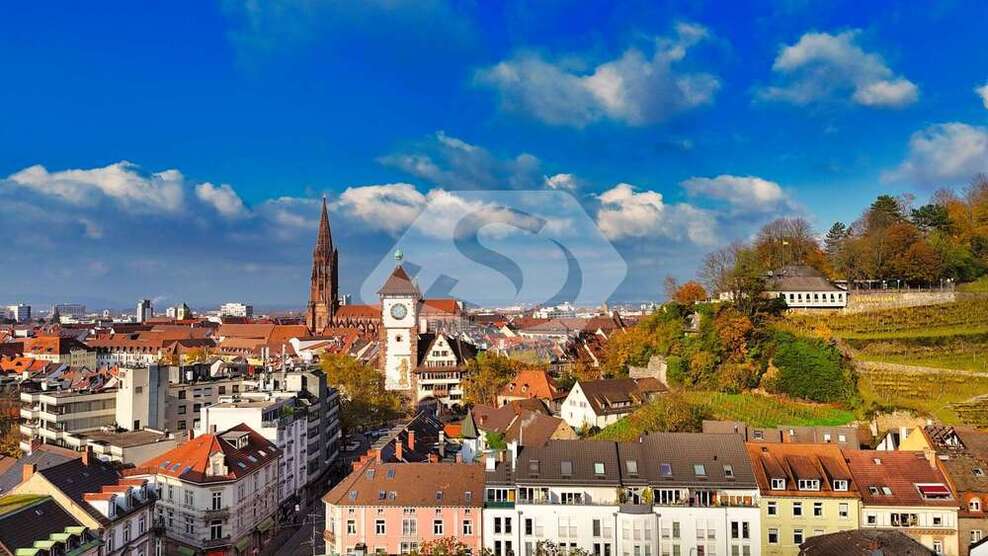 Büro in Freiburg im Breisgau 1.650 € 140 m²
