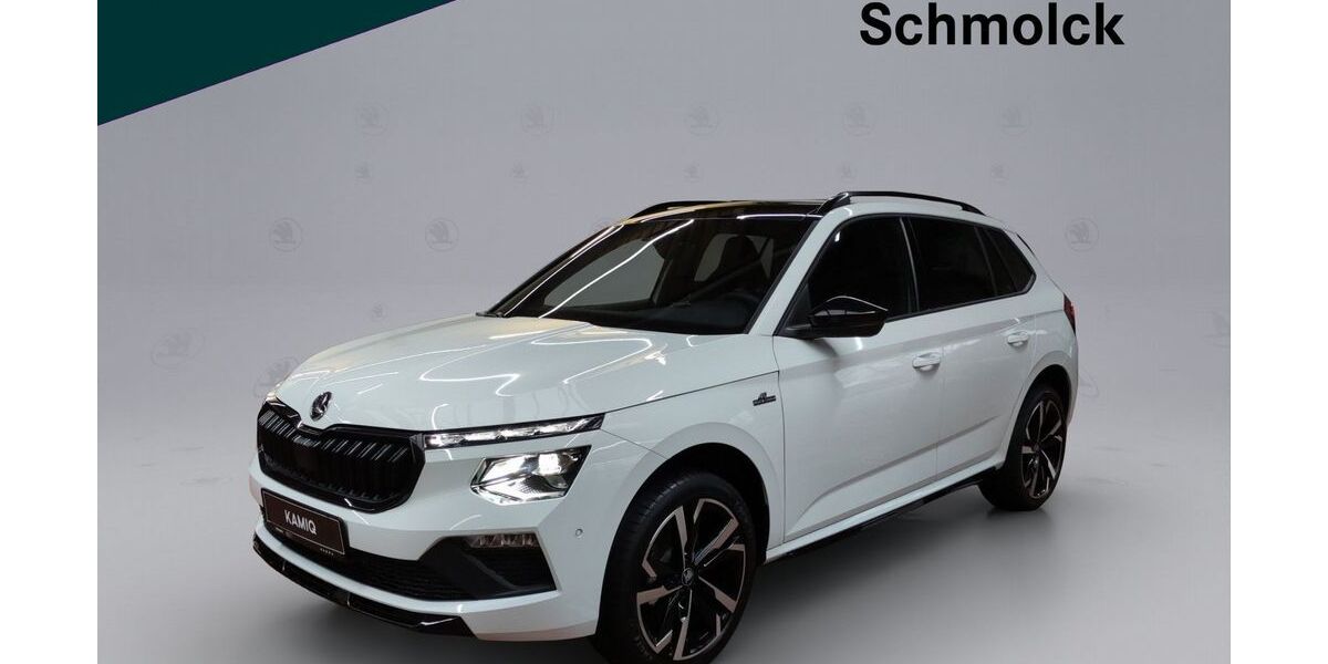 Skoda Kamiq 18.400 km 31.490 &euro; Emmendingen 79312