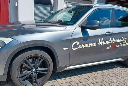 BMW X1 246.560 km 5.550 &euro; Badenweiler 79410