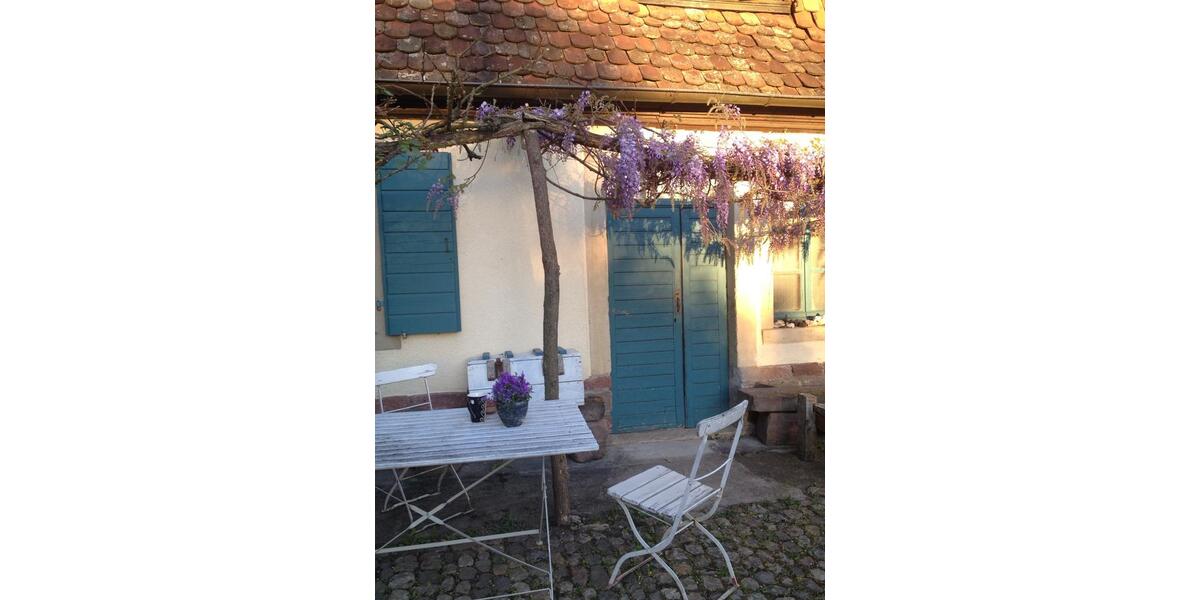 Etagenwohnung Breisach am Rhein - 5 Zimmer, 70 m&sup2;, 950&euro; | Angebot:25219336