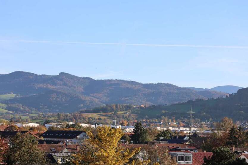 Wohnung zum Kaufen in Freiburg im Breisgau 119.500 € 31 m²