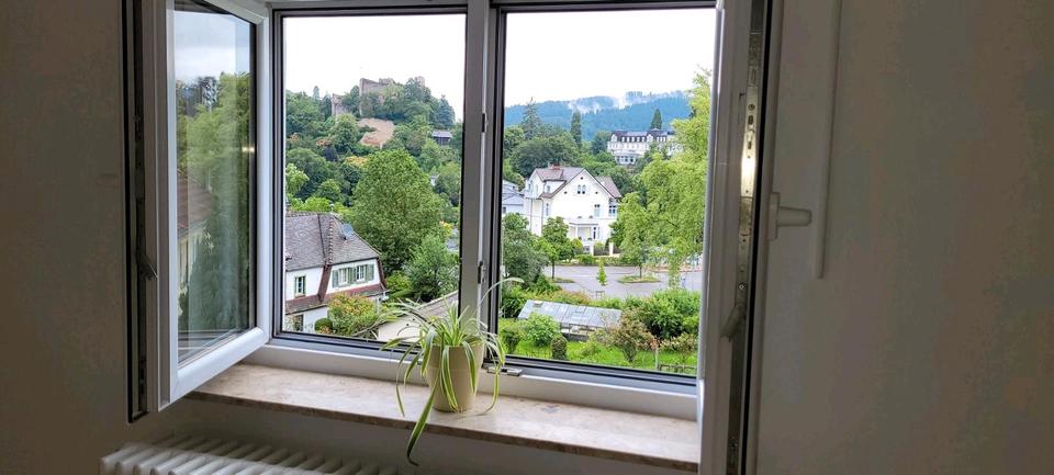 Dachgeschoßwohnung Freiburg im Breisgau Betzenhausen - 1 Zimmer, 30 m&sup2;, 124.900&euro; | Angebot:26722581