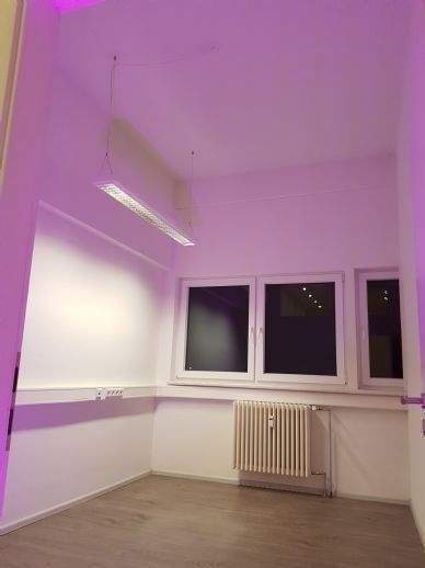 Gewerbeobjekt Müllheim - 1.250&euro; | Angebot:26584907