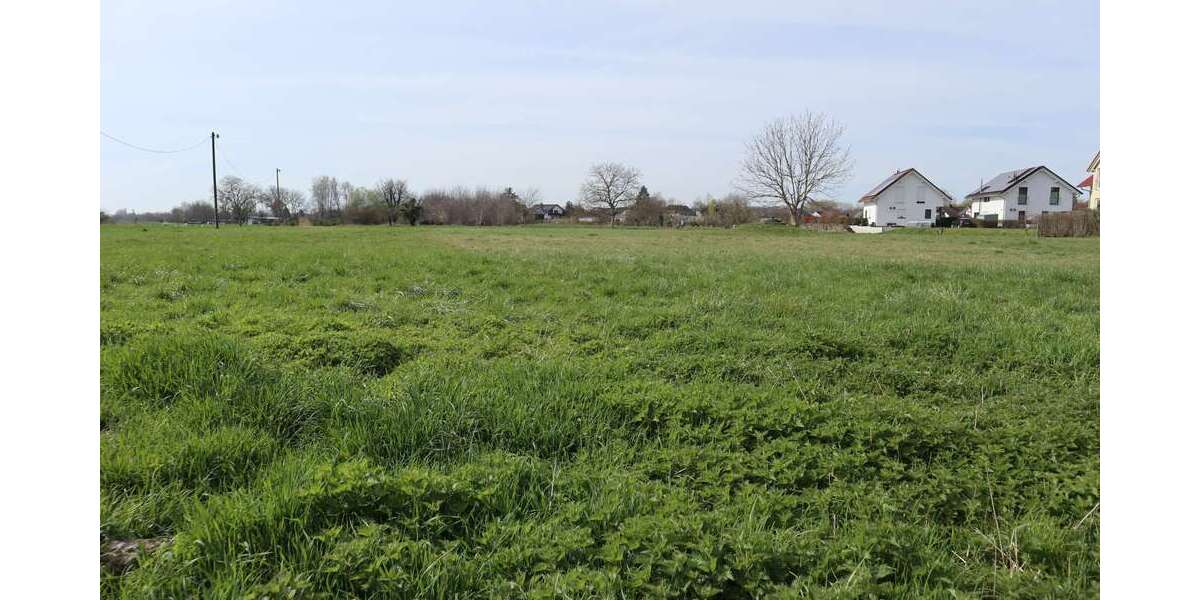 Grundstück Burkheim Burkheim - 135.000&euro; | Angebot:17590341