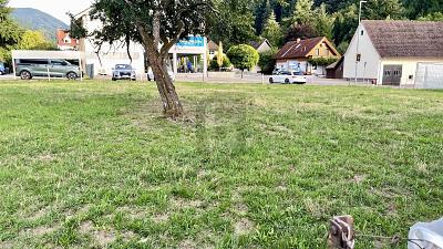1976 M² & ZWEI GROSSE BAUFENSTER - Grundstück Münstertal | Angebot:27354816
