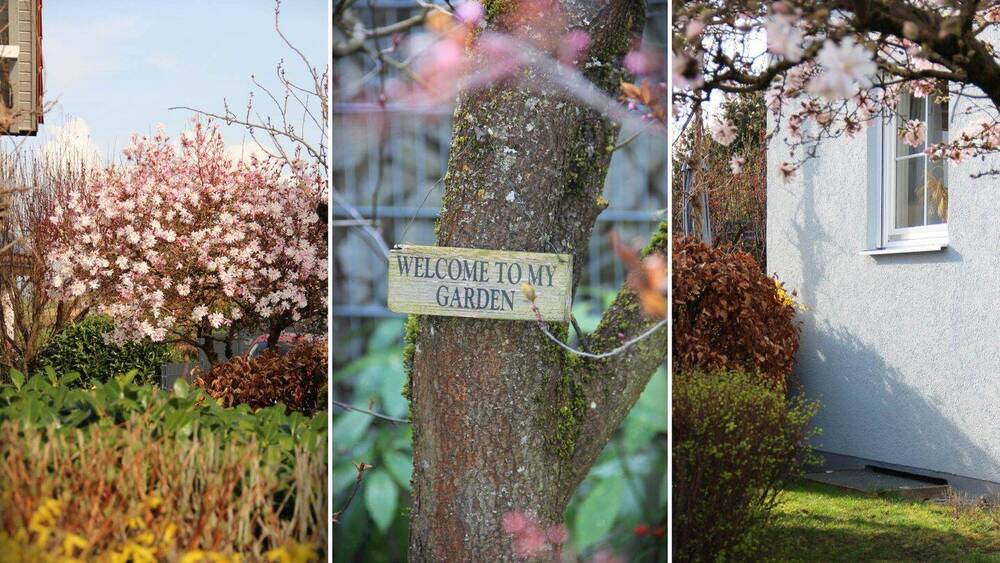 Einfamilienhaus March / Neuershausen Neuershausen - 6 Zimmer, 173 m&sup2;, 790.000&euro; | Angebot:25995886