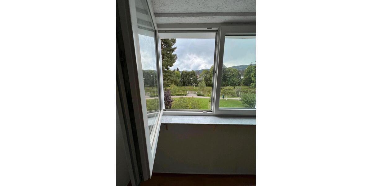 Doppelhaushälfte Titisee-Neustadt Neustadt - 7 Zimmer, 150 m&sup2;, 459.000&euro; | Angebot:24464689