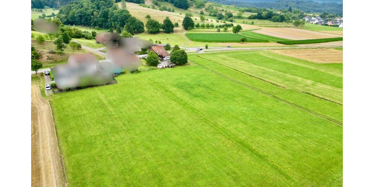Großzügiges Baugrundstück mit Wiesengrundstücken und Wohnhaus in idylischer Lage von Sexau zimmer