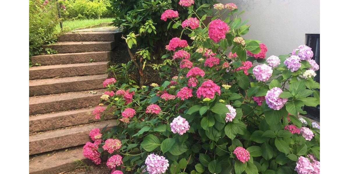 Mehrfamilienhaus, Wohnhaus Freiburg Günterstal - 1 Zimmer, 356 m&sup2;, 1.195.000&euro; | Angebot:25784556