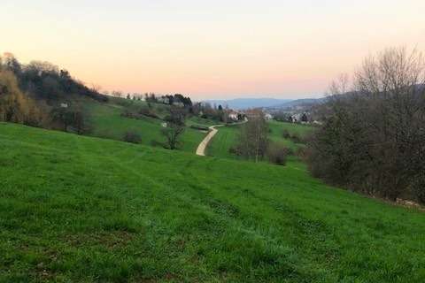 Grundstück Wittnau - 1.000.000&euro; | Angebot:24526055