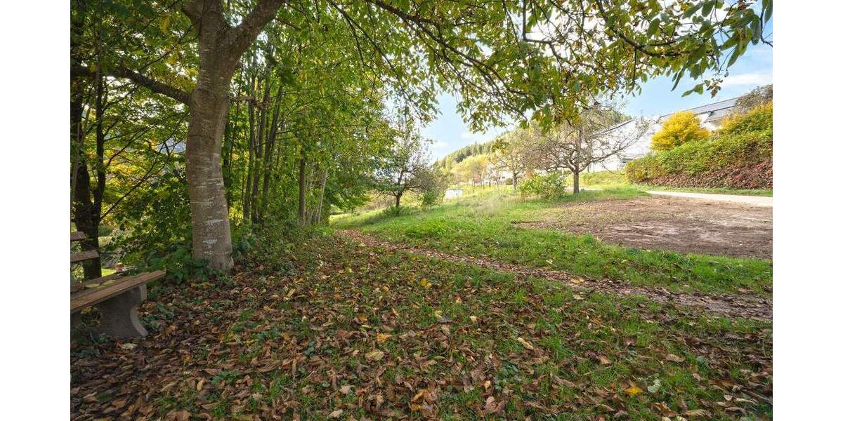 Grundstück Simonswald - 209.000&euro; | Angebot:25747047