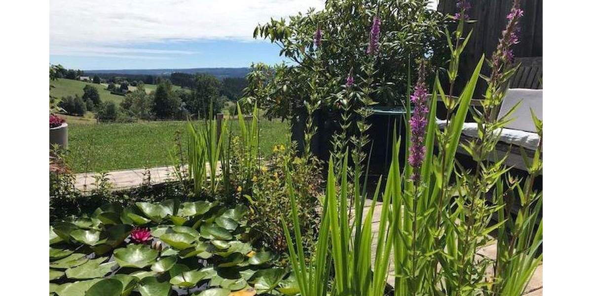 Einfamilienhaus Lenzkirch Saig - 9 Zimmer, 208 m&sup2;, 700.000&euro; | Angebot:25835773