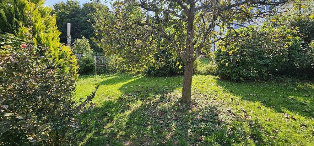 Doppelhaushälfte Freiburg im Breisgau Littenweiler - 9 Zimmer, 213 m&sup2;, 1.280.000&euro; | Angebot:26066269