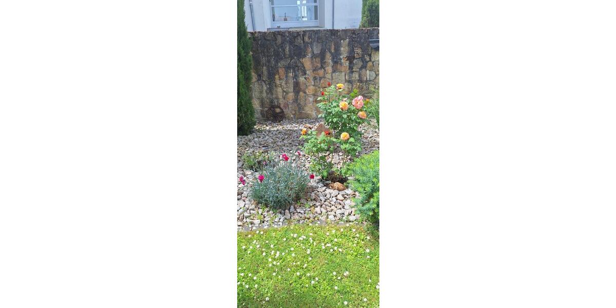 Einfamilienhaus Bad Krozingen - 8 Zimmer, 220 m&sup2;, 1.500.000&euro; | Angebot:26652449