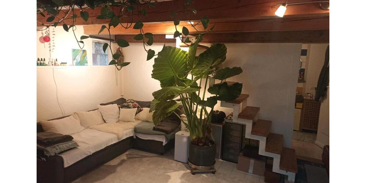 Kleines Haus in Ihringen zu vermieten Kaltmiete mit Garten 2 zimmer