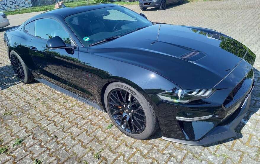 Mustang