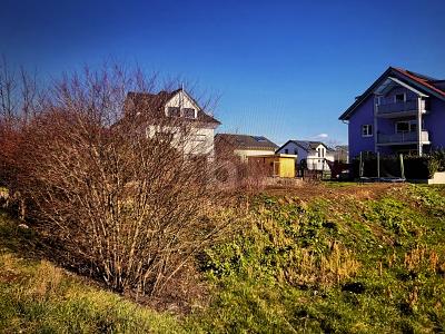 DIREKT BEBAUBAR, PLANUNGSSICHER - Grundstück Bahlingen am Kaiserstuhl | Angebot:25879782