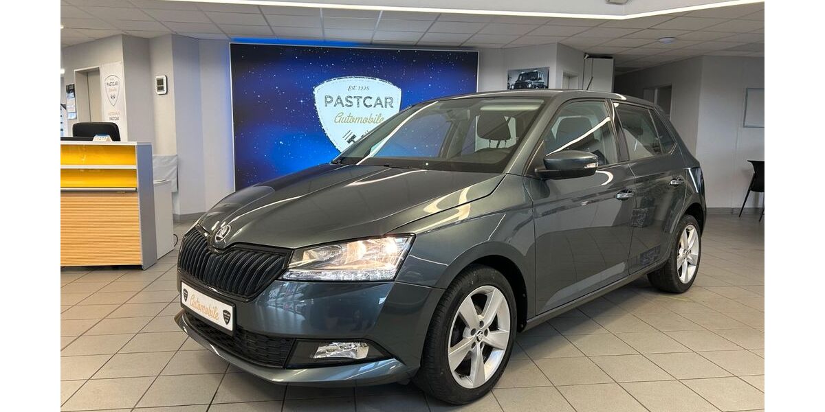 Skoda Fabia 57.000 km 12.700 &euro; Bad Krozingen 79189