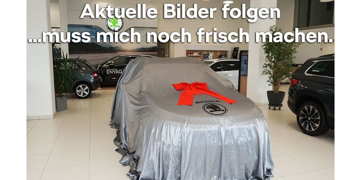 Skoda Elroq 6.200 km 40.490 &euro; Emmendingen 79312
