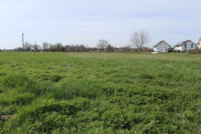 Grundstück in Burkheim 135.000 € 3272 m²
