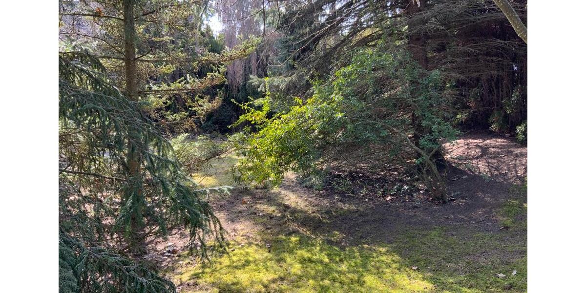 Einfamilienhaus Stegen - 7.5 Zimmer, 208 m&sup2;, 580.000&euro; | Angebot:25544787