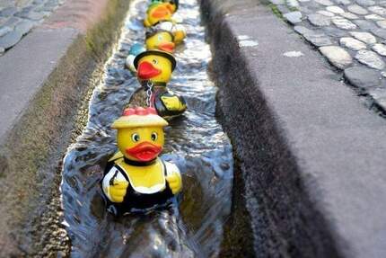 Wohnung Freiburg im Breisgau St. Georgen - 2 Zimmer, 35 m&sup2;, 255.000&euro; | Angebot:25995788