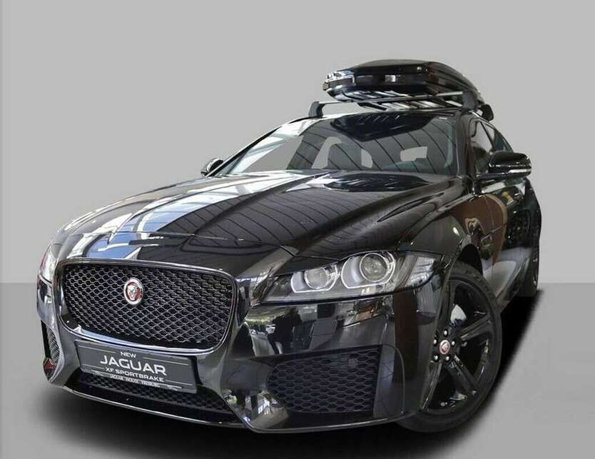 XF