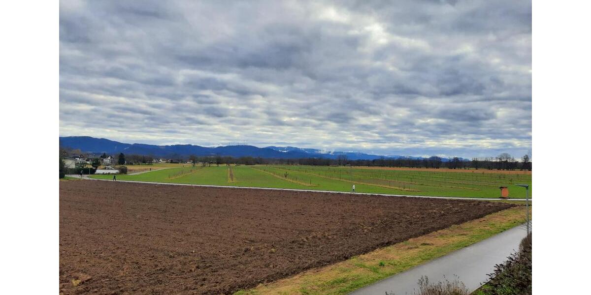 Etagenwohnung Emmendingen - 3 Zimmer, 92 m&sup2;, 530.000&euro; | Angebot:24813451