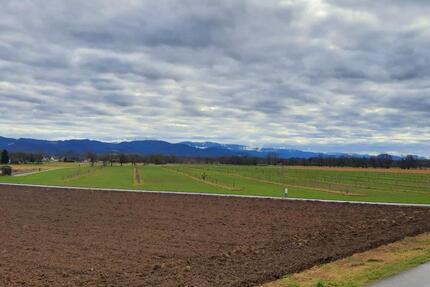 Wohnung Emmendingen - 3 Zimmer, 92 m&sup2;, 530.000&euro; | Angebot:24813451