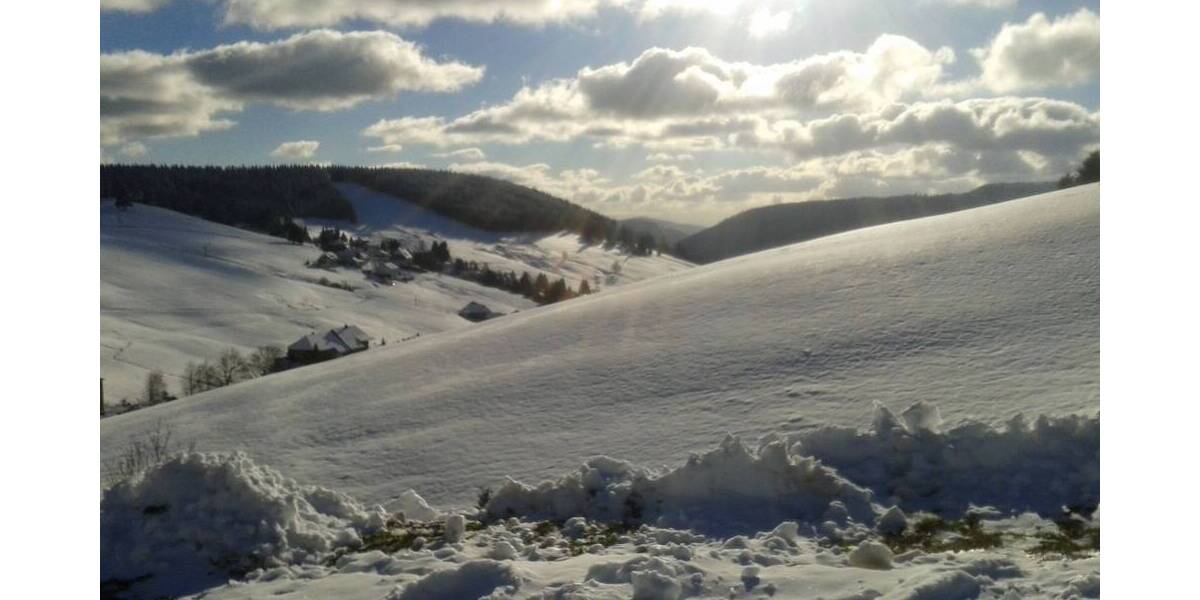 Gewerbeobjekt Todtnau Todtnauberg - 1 Zimmer, 1.250.000&euro; | Angebot:19305728