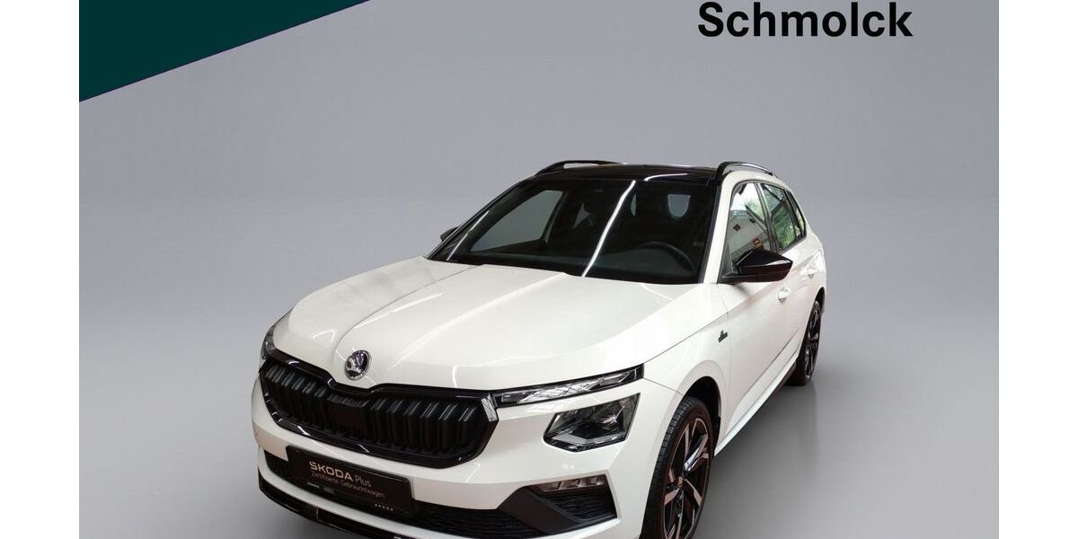 Skoda Kamiq 34.000 km 26.290 &euro; Emmendingen 79312