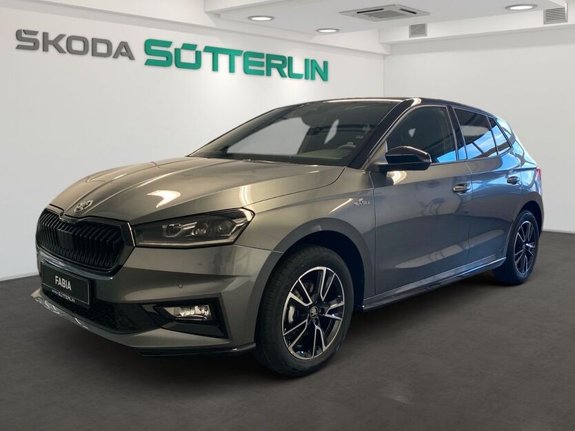 Skoda Fabia 5.225 km 24.499 € Freiburg 79108