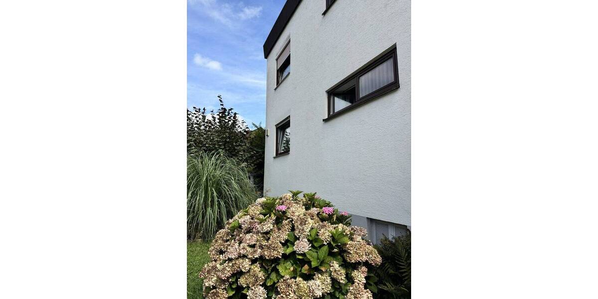 Mehrfamilienhaus, Wohnhaus Stegen Eschbach - 1 Zimmer, 493 m&sup2;, 1.350.000&euro; | Angebot:26779630