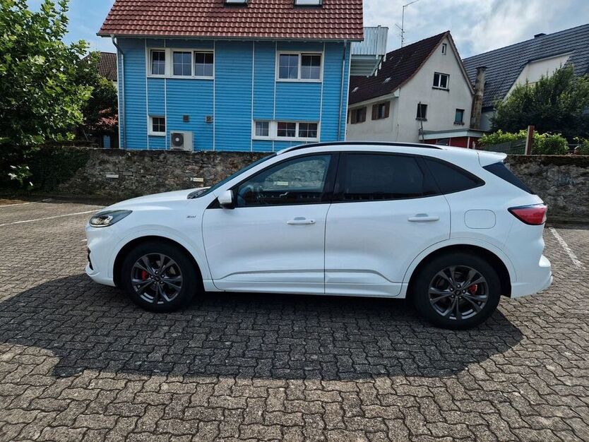 Kuga