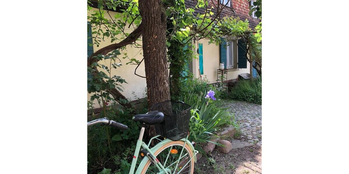 Etagenwohnung Breisach am Rhein - 4 Zimmer, 40 m&sup2;, 450&euro; | Angebot:25713653