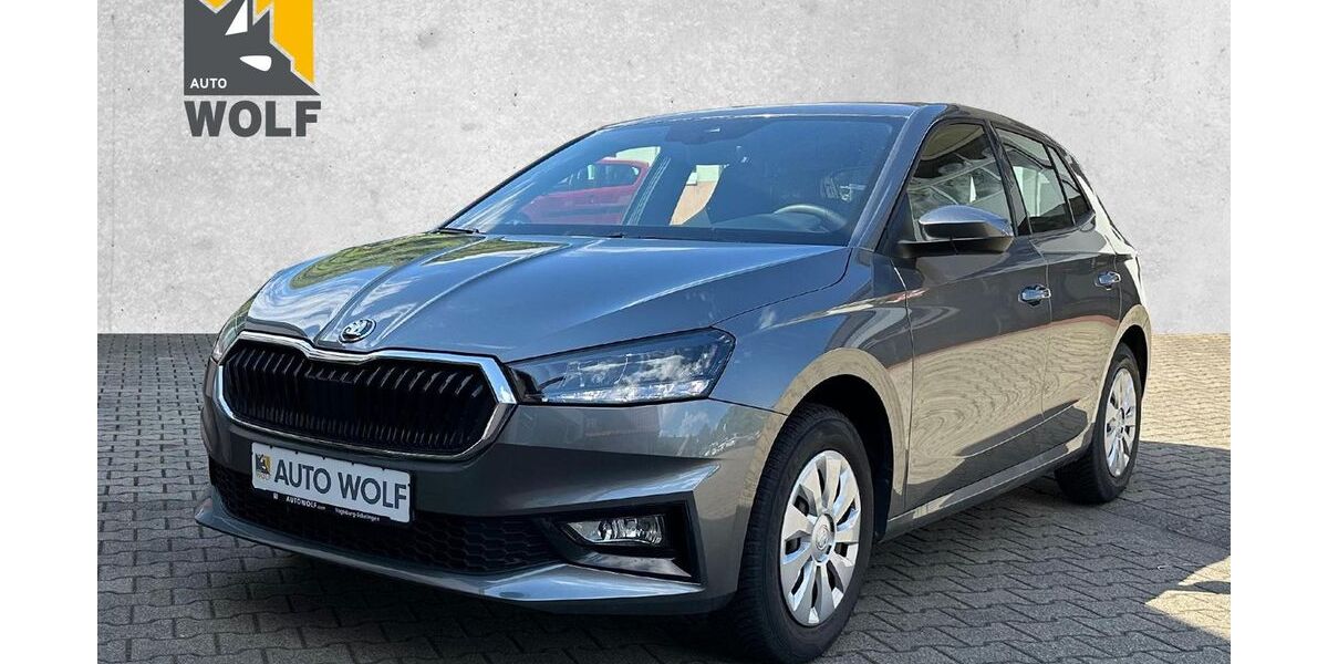 Skoda Fabia 16.800 km 19.390 &euro; Vogtsburg 79235